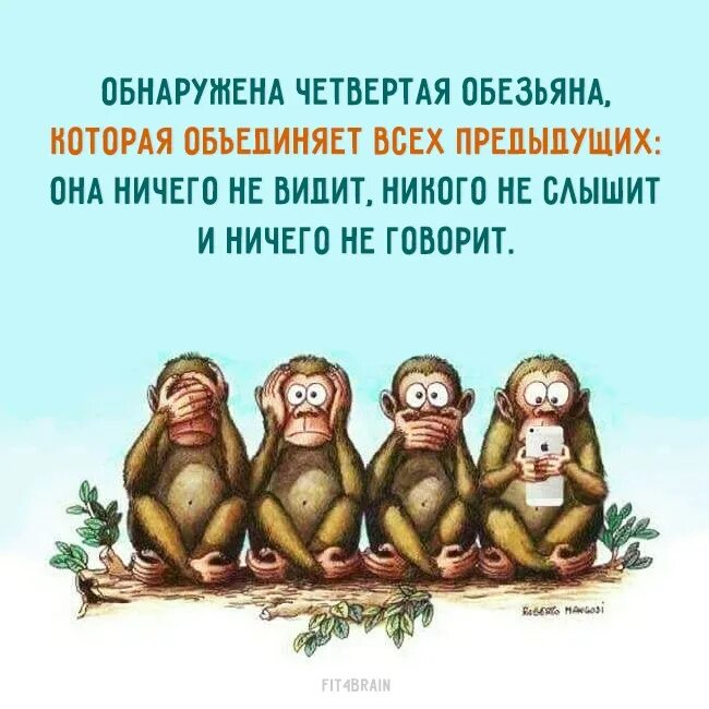 Ничего не вижу ничего слышу никому скажу. Четыре обезьяны. Три обезьяны. Обезьяна ничего не вижу ничего не слышу. Мудрая обезьяна.