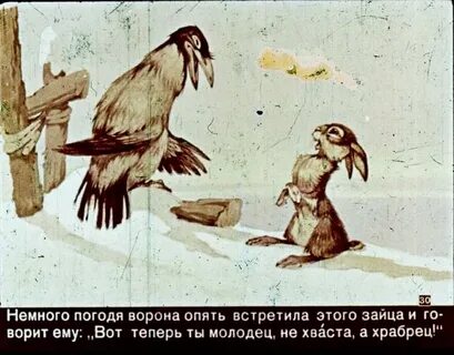 Пословица ворон ворону глаз