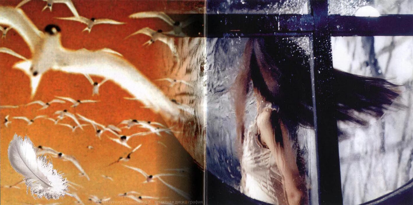 наутилус альбом крылья. Nautilus pompilius - крылья (1995). крылья наутилус помпилиус год. наутилус помпилиус обложки альбомов. кассета nautilus pompilius крылья.