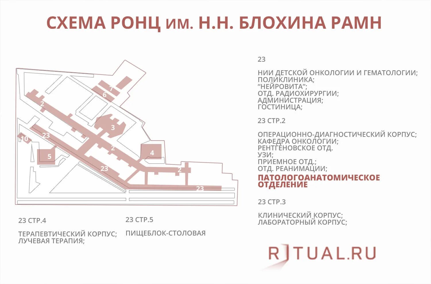 Каширское шоссе 23 онкологический центр Блохина. Каширское шоссе 23 онкологический центр схема. Каширское шоссе 23 онкологический центр схема корпусов. План больницы Блохина на каширке. Центр блохина на каширке сайт