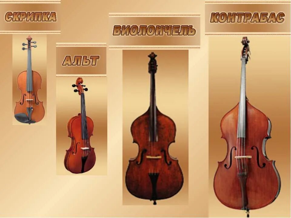 струнные инструменты симфонического оркестра. струнно-смычковые инструменты симфонического оркестра. струнные инструменты симфонического. альт струнные смычковые музыкальные инструменты. струнно-смычковые инструменты симфонического оркестра.