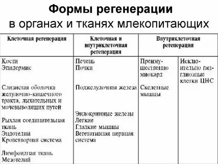 Методы регенерации