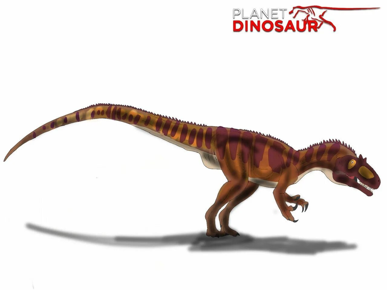 Заурофаганакс. Заурофаганакс Максимус. Заурофаганакс мир Юрского периода. Заурофаганакс Планета динозавров. Торвозавр против Заурофаганакс.