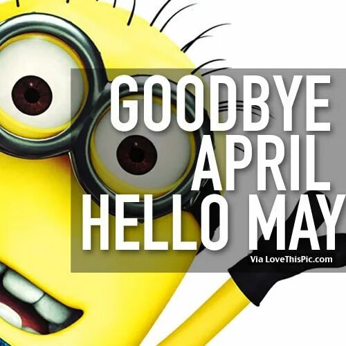 May fun. Pictures hello May. Goodbye April hello May. Hello May картинки. Картинка на тему hello May.