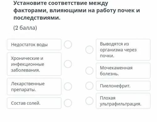 Факторы оказывающие влияющие на работу почек. Факторы влияющие на почки. Факторы влияющие на функции почек. Факторы влияющие влияние на функции почек.