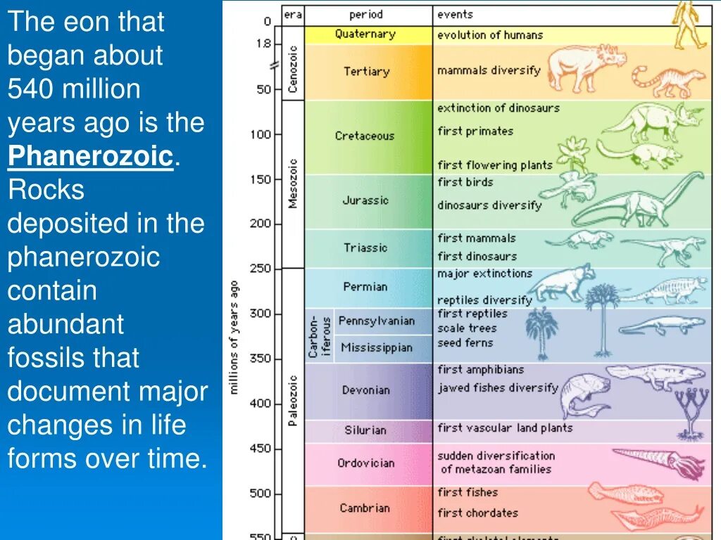 The time periods that i. Геохронологическая шкала. geologic time scale. шкала геологического времени. шкала периодов геологических.