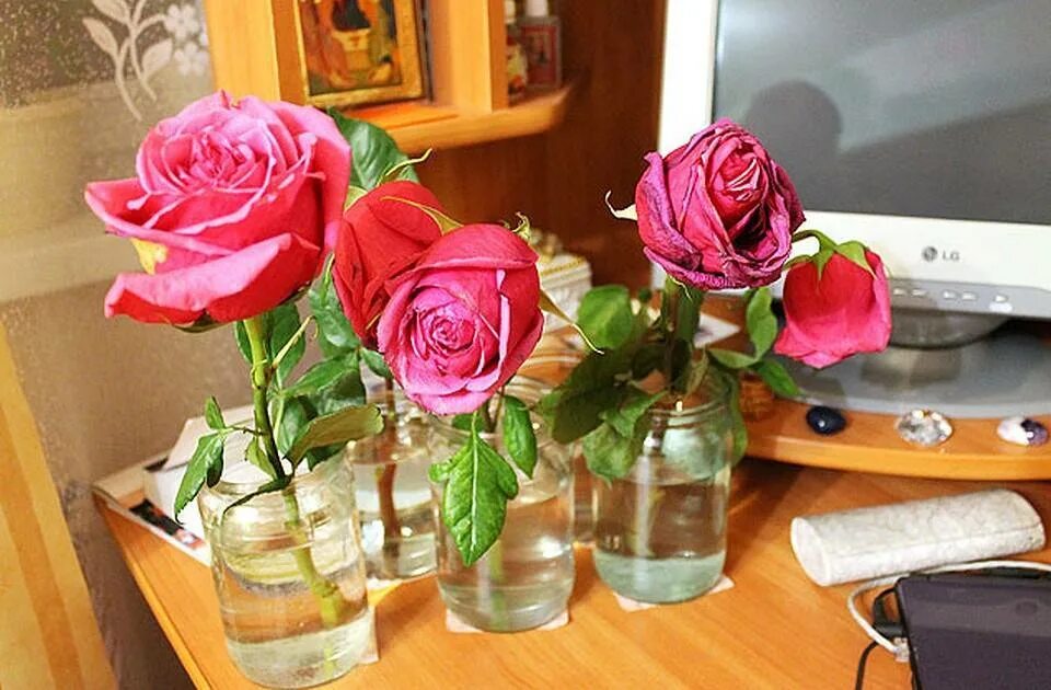 Как сохранить долго розы в вазе свежими. Розы срезанные. Срезанные розы в вазе. Розы которые долго стоят в вазе. Цветы которые долго стоят в вазе.