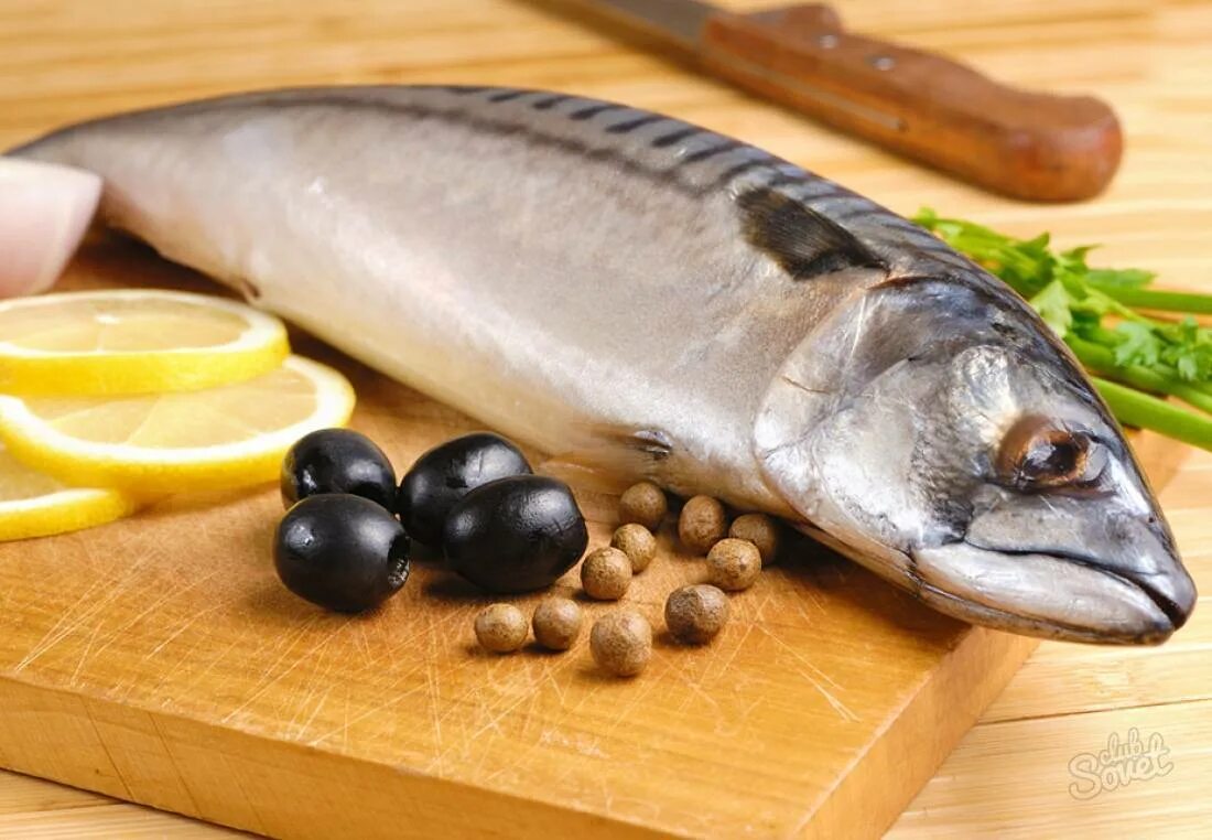 Какая рыба полезна для организма. Скумбрия. полезная рыба. самая полезная рыба. самая полезная рыба скумбрия.