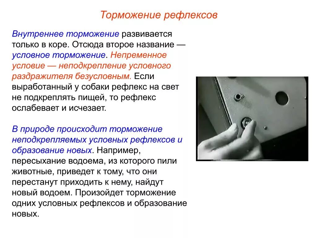 Назовите виды торможения условных рефлексов. Внутреннее условное торможение условных рефлексов. Типы торможения условных рефлексов. Процесс торможения условного рефлекса это. К внутреннему торможению (в торможении условных рефлексов) относятся.