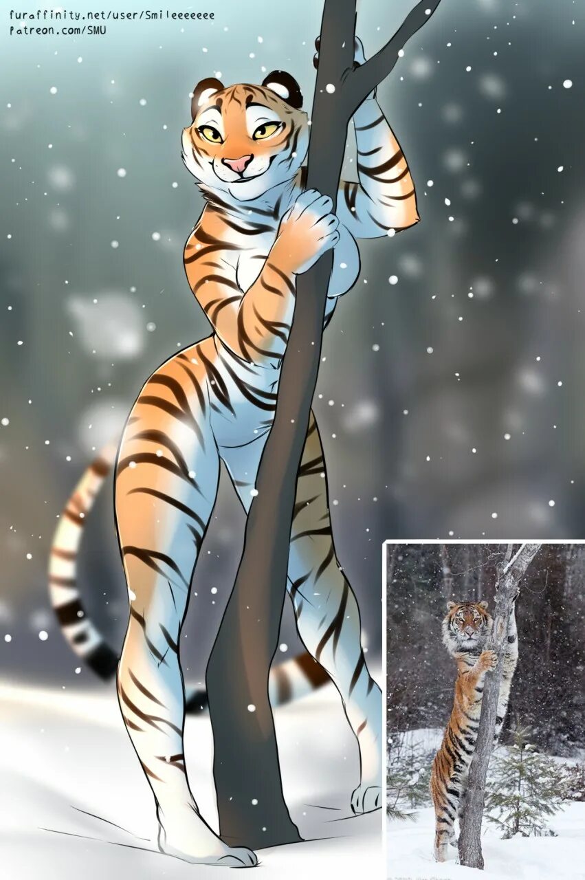 Dakimakura master tigress. Фурри тигра. Фурри тигрица. Фурри тигр девушка. Фурри тигрица арт.