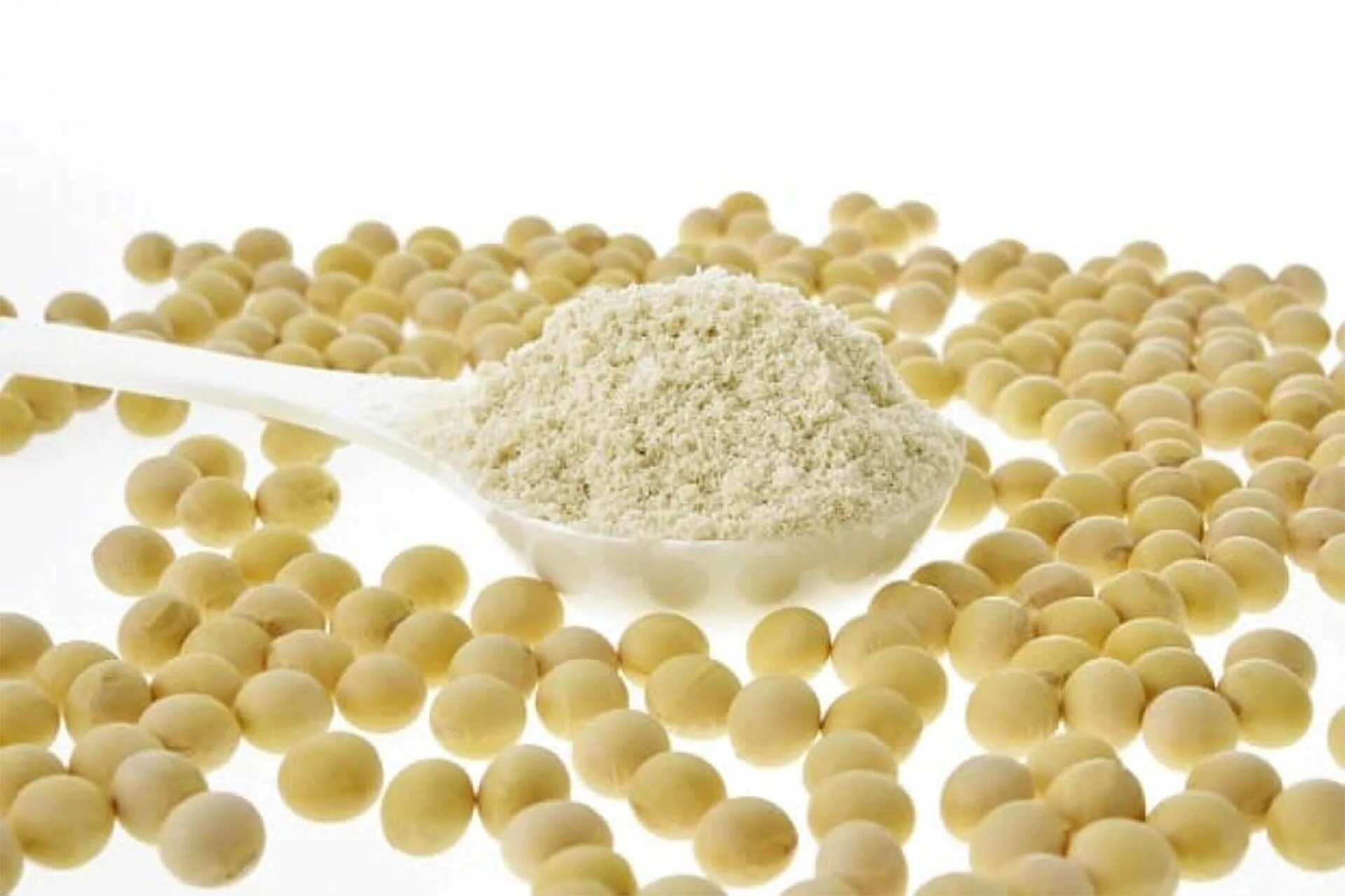 Соя протеин. Изолят соевого белка. Soy Protein isolate. Соевый белок (изолят) Cereal. Протеин из сои.