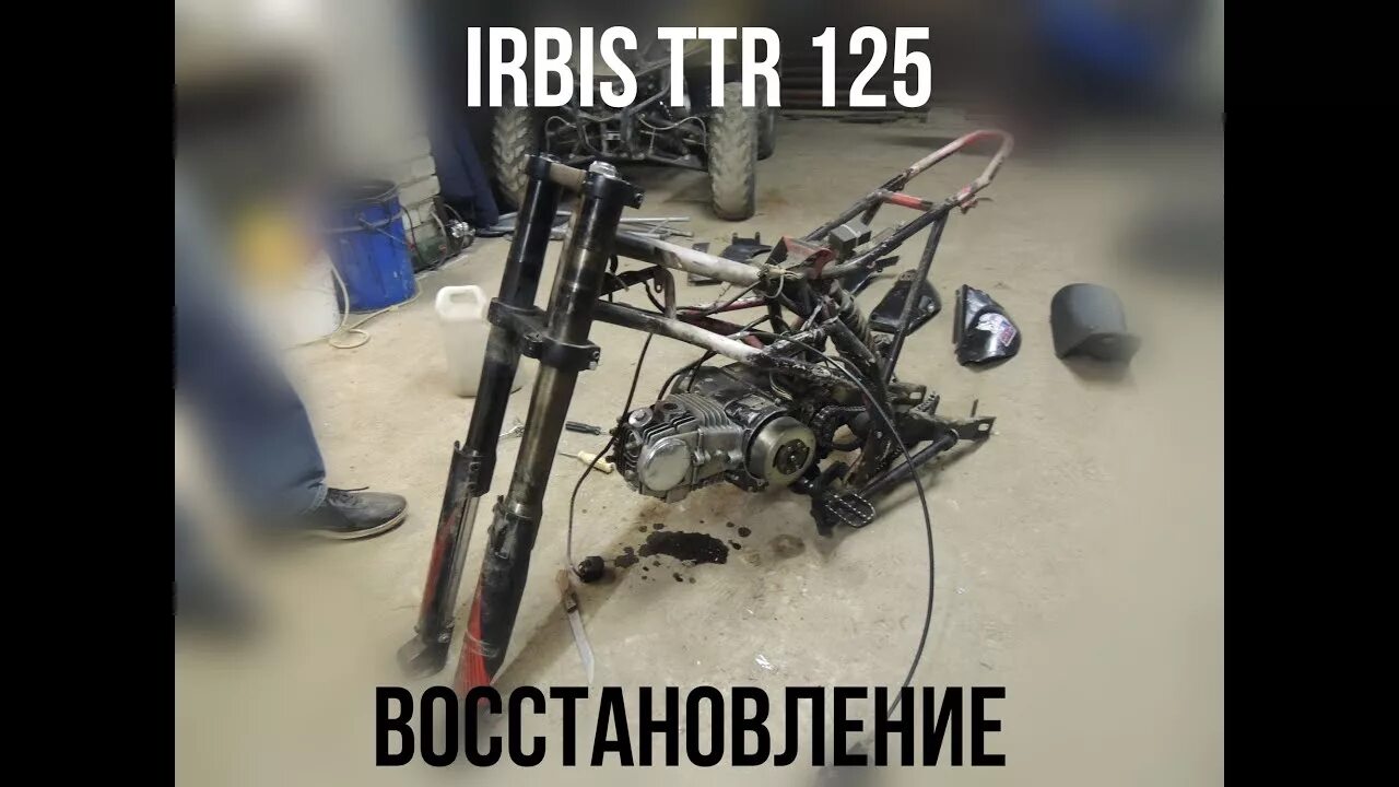 Барс и леопард. Ирбис восстановить. Ирбис восстановить. Ирбис восстановить. Леопард снежный барс ягуар.