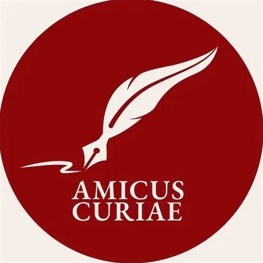 Amicus Curiae в Конституционном судопроизводстве. Amicus curiae