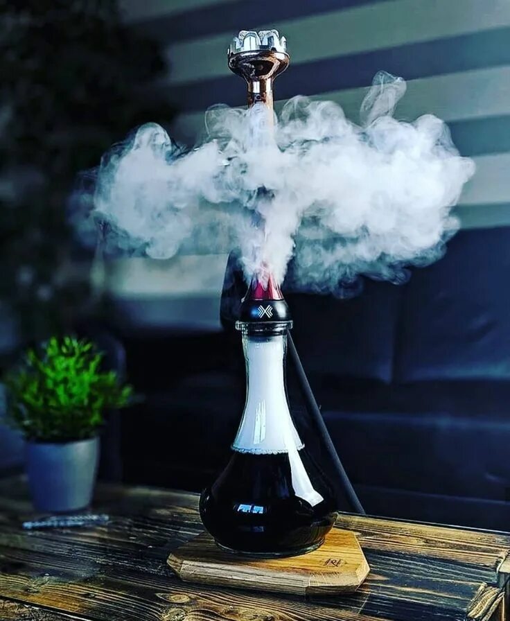 Аренда кальянных. Alpha Hookah кальян с дымом. Красивый кальян. Ароматный дым. Кальян на красивом фоне.