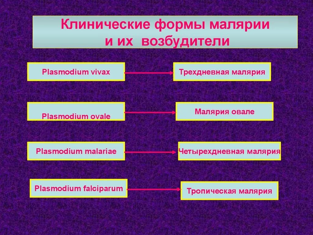 Первичная малярия это. Клинические формы малярии. Клиническая классификация малярии. Классификация малярии клинические формы. Основные клинические формы малярии.