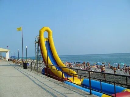 Салоники краснодарского