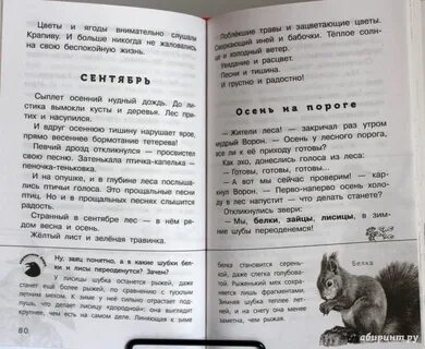 До листика вымокли кусты и деревья