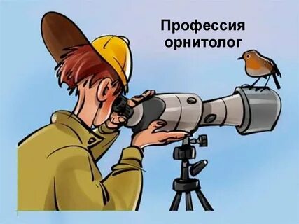 Исследование птиц