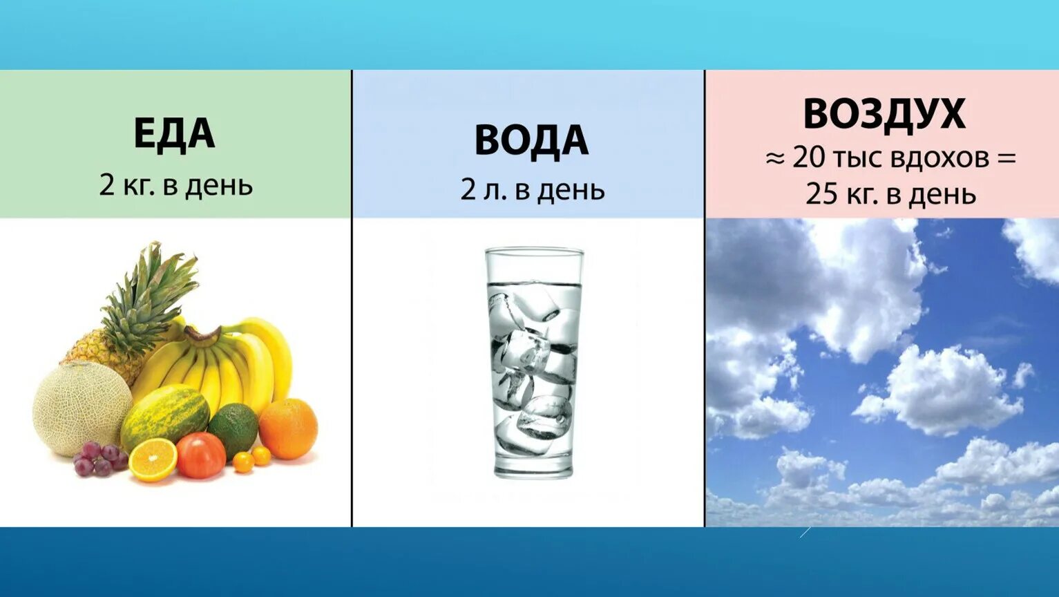 Еда вода воздух. Вода в питании. Человек воздух в воде. Вода в питании человека. Еда вода сайт