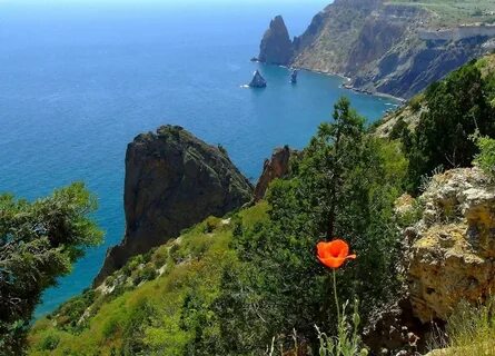 Природа крыма картинки