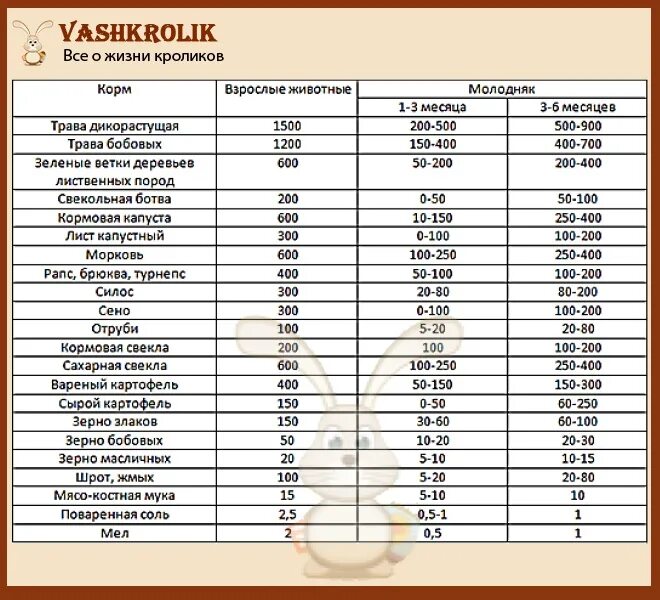 Сколько кормить кролика. Таблица питания кроликов. Рацион питания для кроликов в домашних условиях. Рацион питания кроликов в домашних условиях таблица. Рацион кроликов в домашних условиях для начинающих.