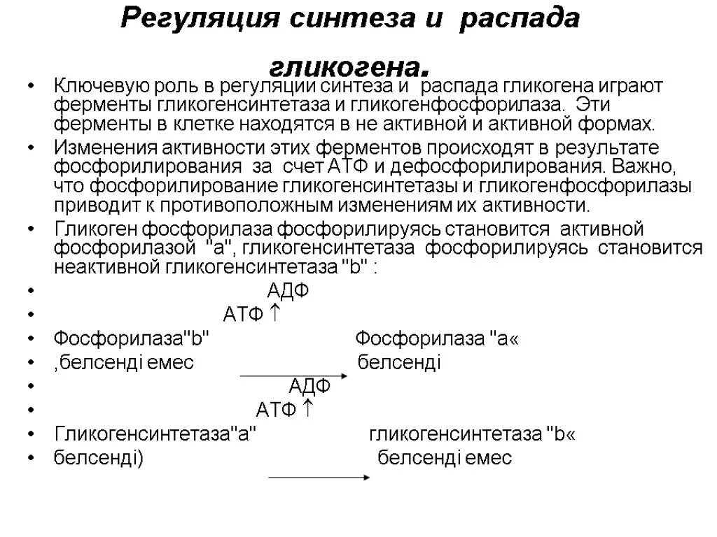 Синтез гликогена стимулирует гормон. Механизм регуляции синтеза гликогена. Регуляция синтеза и распада гликогена. Регуляция процессов синтеза и распада гликогена в печени и мышцах. Гормональная регуляция распада гликогена.