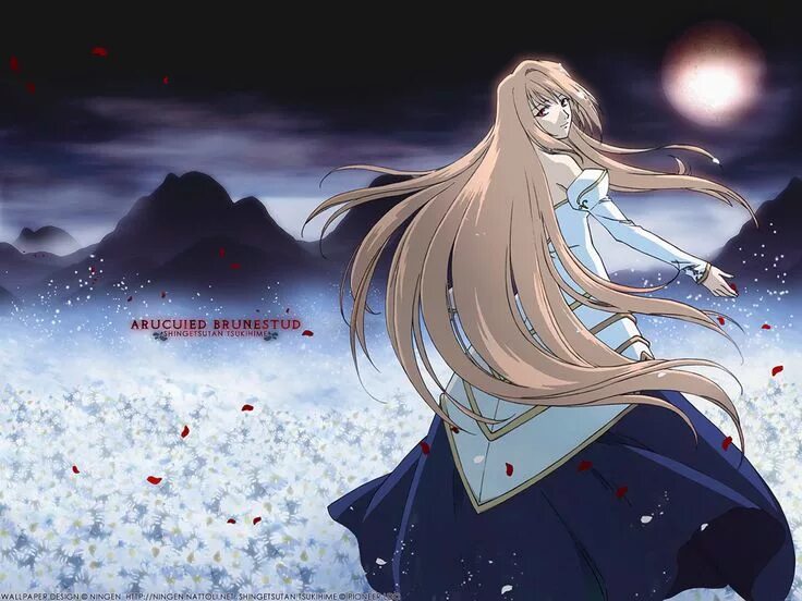 Арквейд fate. Повесть о лунной принцессе / shingetsutan tsukihime. Tsukihime arcueid. Fate цукихиме. Повесть о лунной принцессе арквейд.