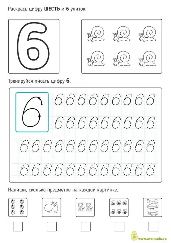 Цифра 6 пропись для дошкольников. Пишем цифру 6 для дошкольников. Прописать цифру 6. Прописать цифру 6. Пропись числа 5 для дошкольников.