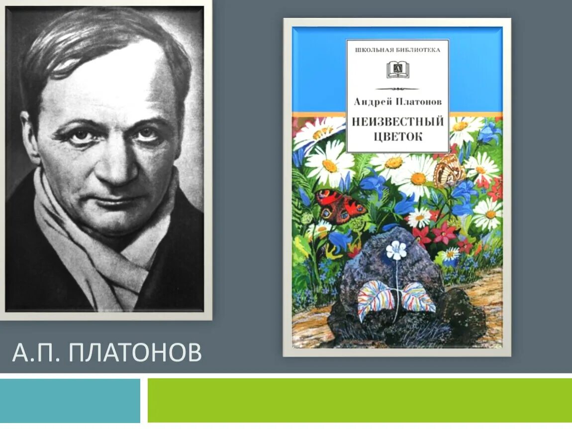 Портрет Платонова Андрея Платоновича. А П Платонов неизвестный цветок.