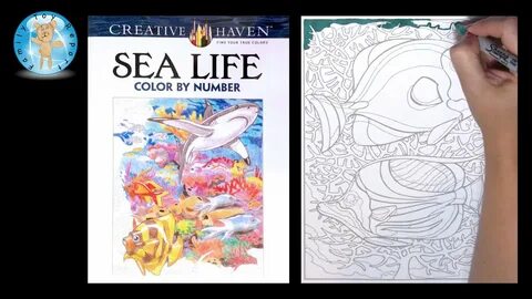 Creative haven coloring books