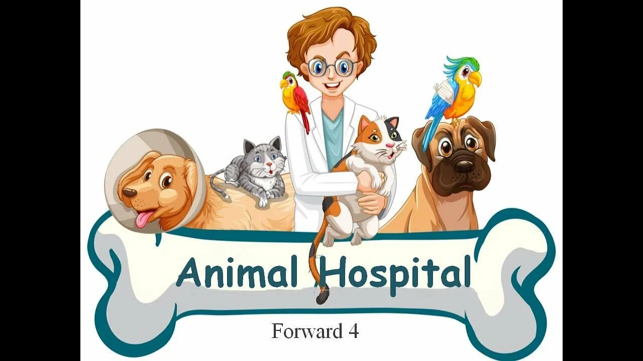 Мои любимцы animal hospital. Pawly pets my animal hospital. Pet world. The animal hospital. Animal hospital картинки.