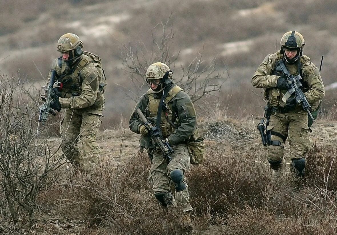 Grom 30k 2025. Спецотряд гром польша. отряд гром польша. польский спецназ гром. grom спецназ польши.