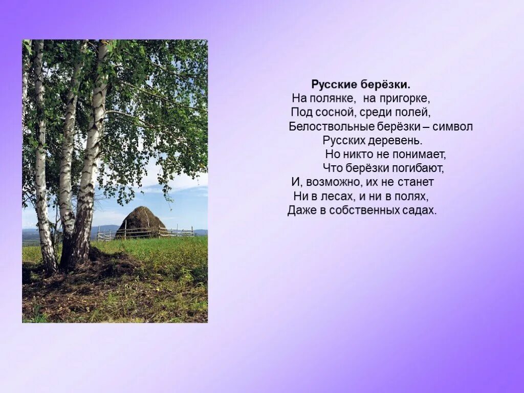 Стихотворение деревни русские. Стихи про деревню. Стихи про село. Стихи про село родное. Детский стишок про деревню.