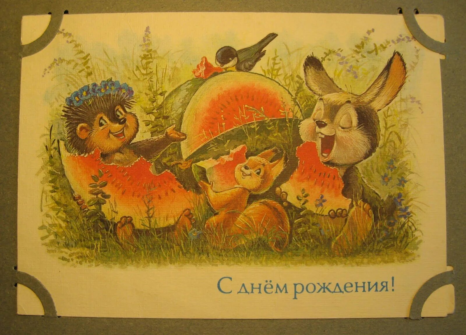Открытки зарубина с днем рождения. Советские открытки с ежиками. Открытки Зарубина. Зарубин открытки с днем рождения. Ежик Зарубин.