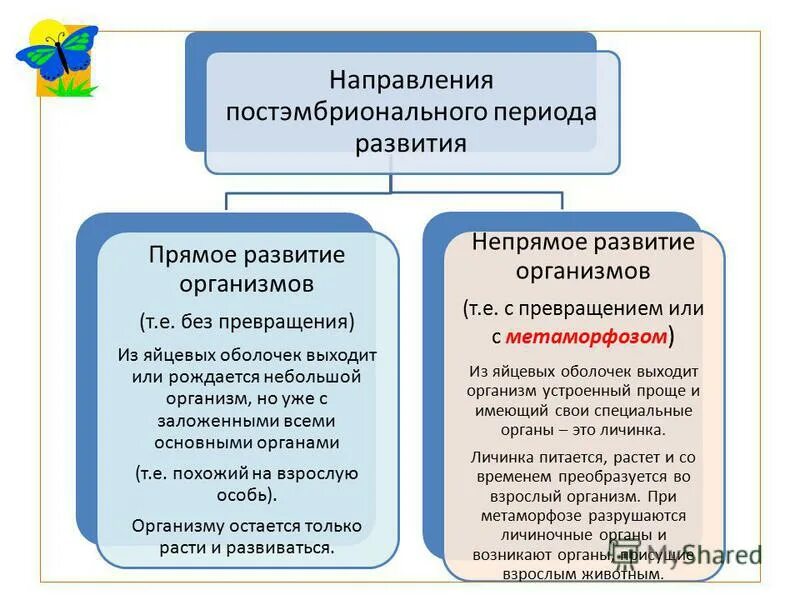 Эмбриональный и постэмбриональный период. Охарактеризуйте типы постэмбрионального развития. Охарактеризуйте этапы постэмбрионального развития. Непрямое постэмбриональное развитие характеристика.