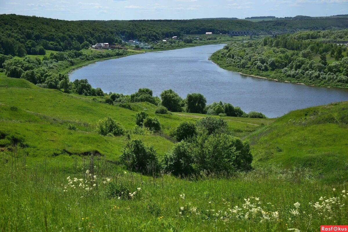 река ока рязань. река волга нижний новгород. волга шире оки ручей уже. квасьево касимовский район. река ока доклад.