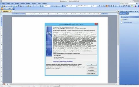 Ms word 2003