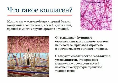 Что такое коллаген для чего он нужен