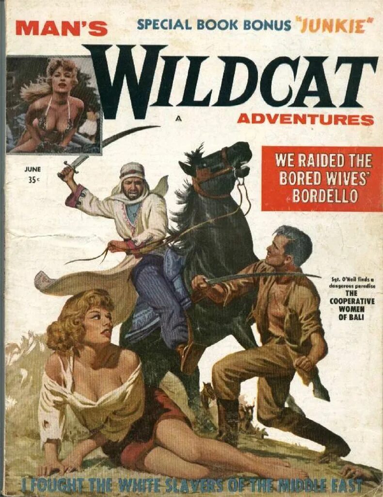 Wildcat Adventures журналы. Man's Adventure журнал. Журнал men of men Vintage. Amanda the Adventurer обложка. Adventures magazine