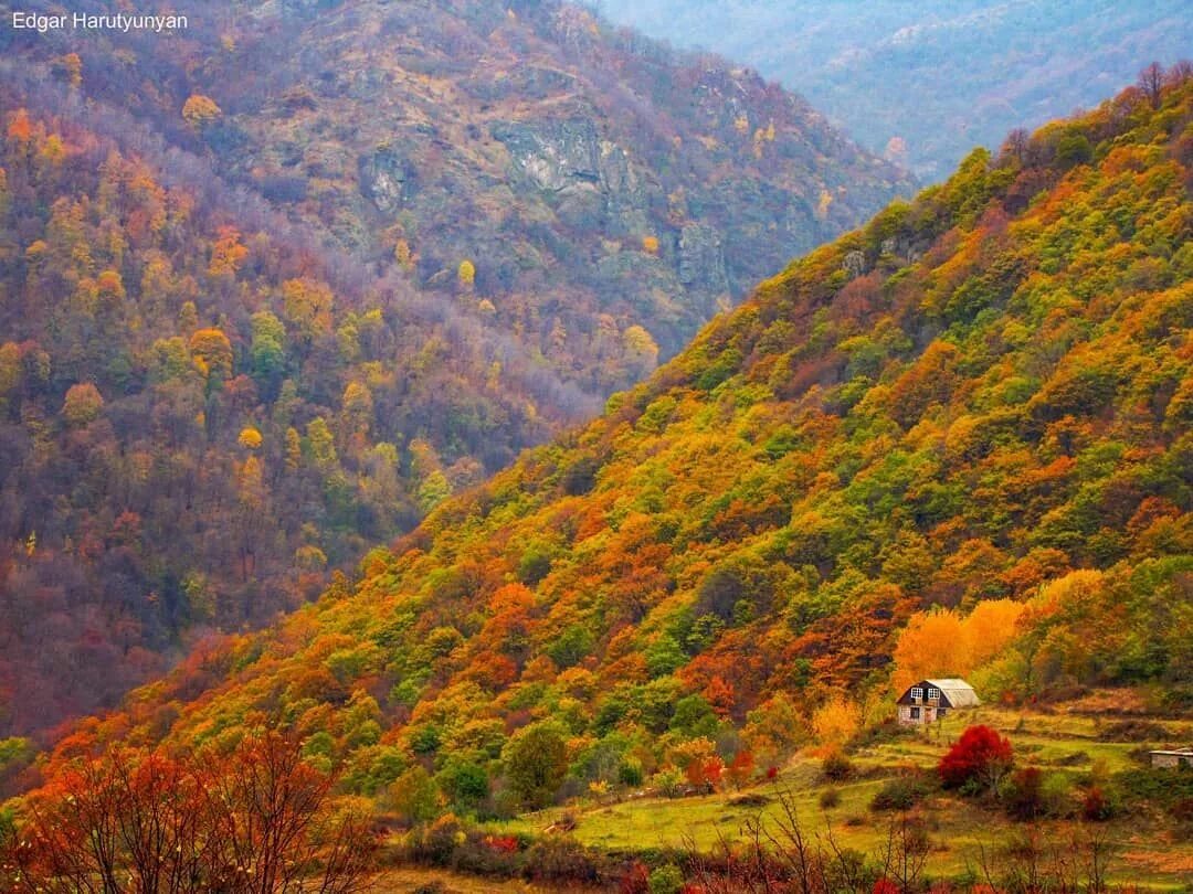 Природа Армении Дилижан. Armenia горы Dilijan. Армения осень Дилижан. Природа Армении леса Дилиджан. Ереван сентябрь