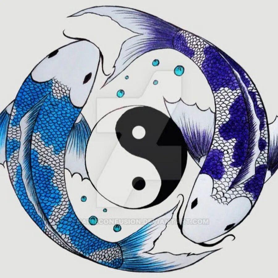 Рыбки инь янь. Китайские рыбки инь янь. Инь янь рыбы значение. Рыбки инь янь. Инь янь рыбы значение.