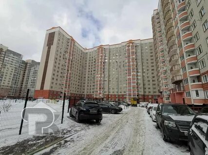 Кучино брагина 3