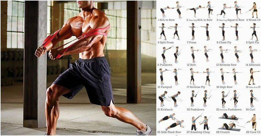 Row reverse. Resistance band fitness. core training тренировка. resistance band training program. bodyweight rows упражнение.
