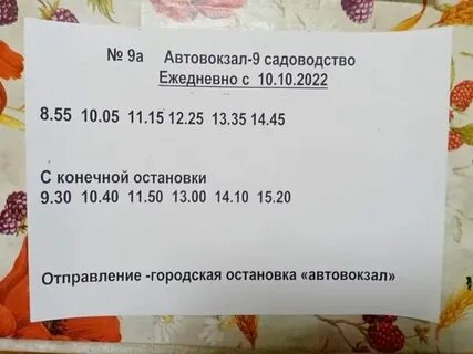 Расписание автобусов 113 выходные