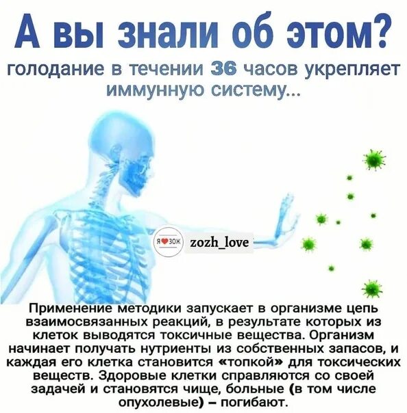 Что делать при голоде. Сухое голодание. Сухое голодание 36. Сухое лечебное голодание. Сухое голодание 36 часов.