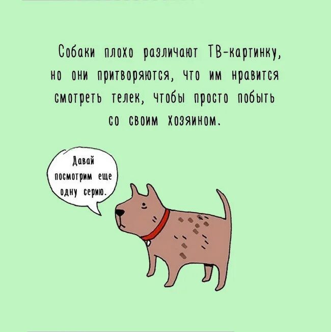 Интересные статьи про животных. Удивительные факты о животных. Интересное о животных. Интересные факты для детей. Удивительные факты о животных.