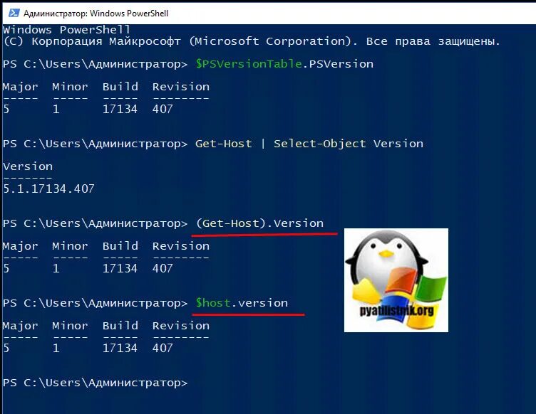 Host version. Как узнать версию powershell. hostname команда. как узнать версию повер шелл команда.