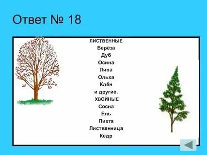 Как пишется деревья или деревья