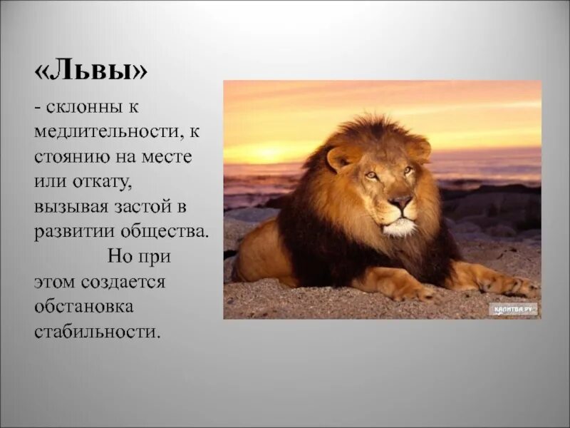 Политические элиты лисы и львы. Политические лидеры лисы и львы. Львы и лисы политическая элита. Львы и лисы в политике. Политический лев.