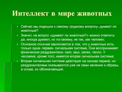 Понимают ли животные речь